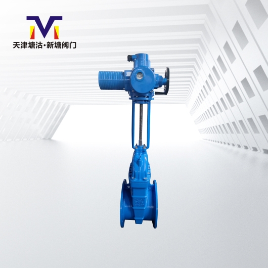 電動(dòng)明桿橡膠閘閥